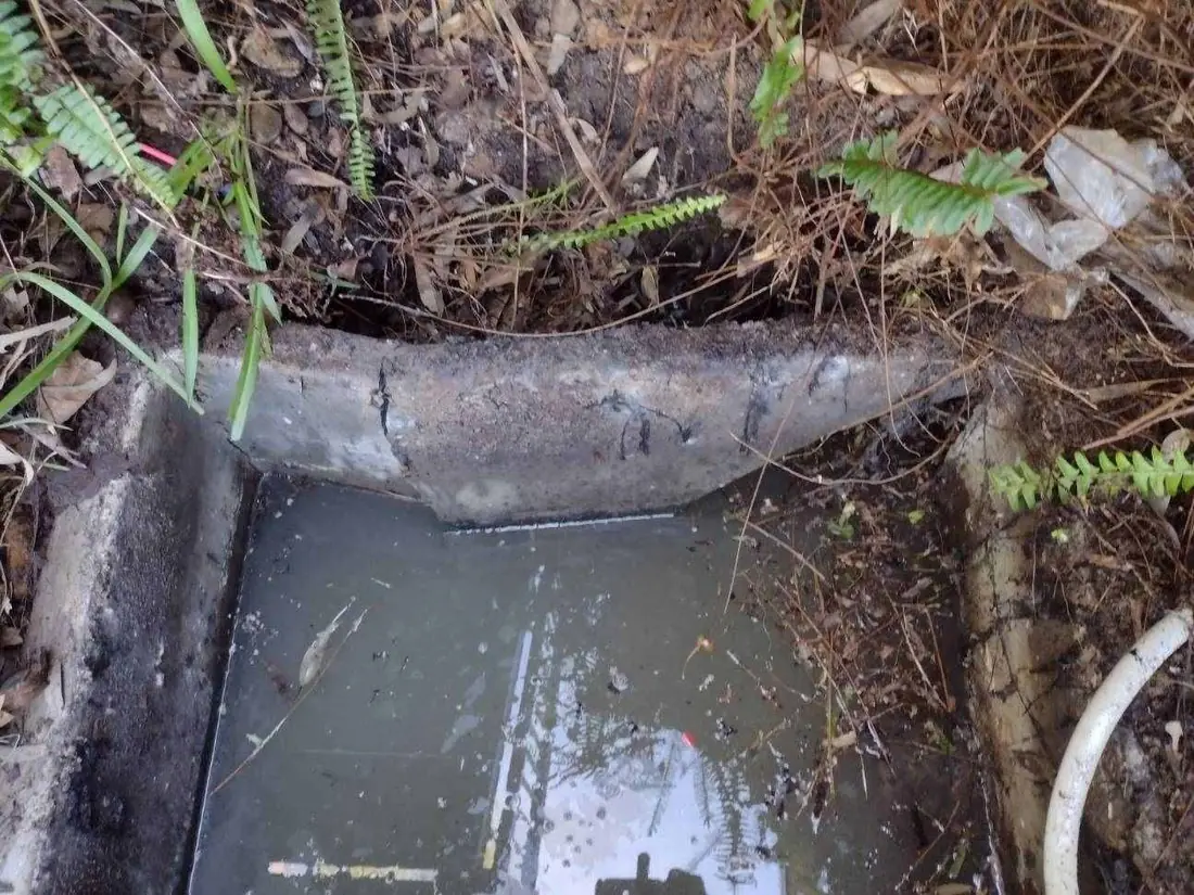 A concrete sewer pump pit with the top edge cracked and broken away, water pooled inside, surrounded by leaf litter and ferns