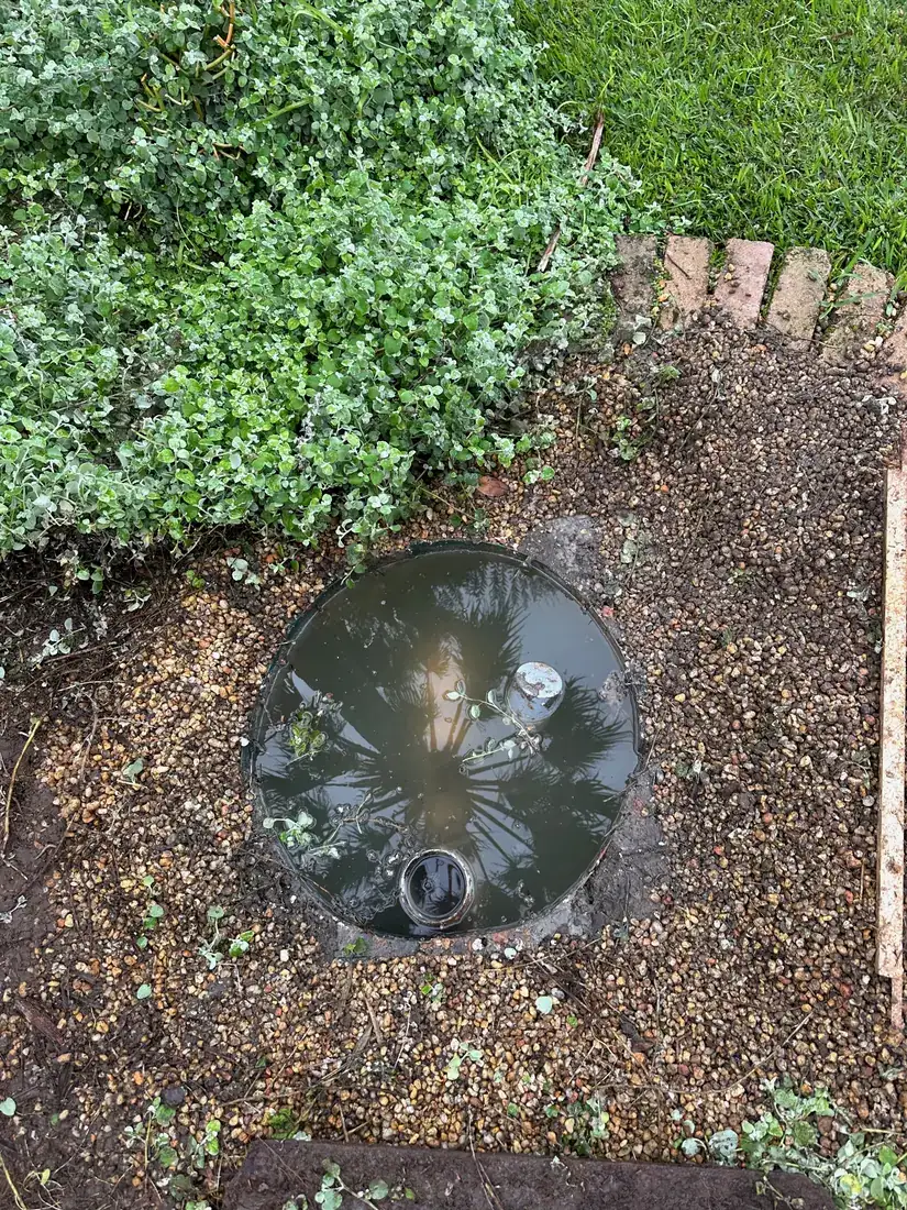 An old waterlogged sewer pump pit brimming in the middle of a Burraneer garden bed before replacement and relocation