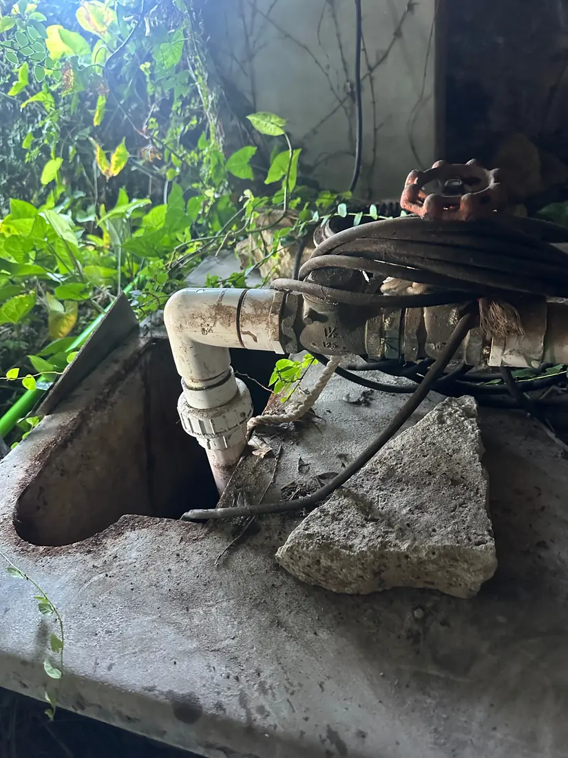 An overgrown sewer pump pit in the Sutherland Shire with a rusted valve and perished cabling before replacement