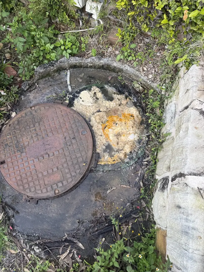 Manhole open showing fat overflow at ground level from blocked pump system where the float couldn't rise