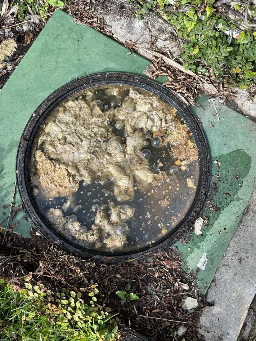 Sewer pump pit filled to the rim with congealed fat and rags over dark water