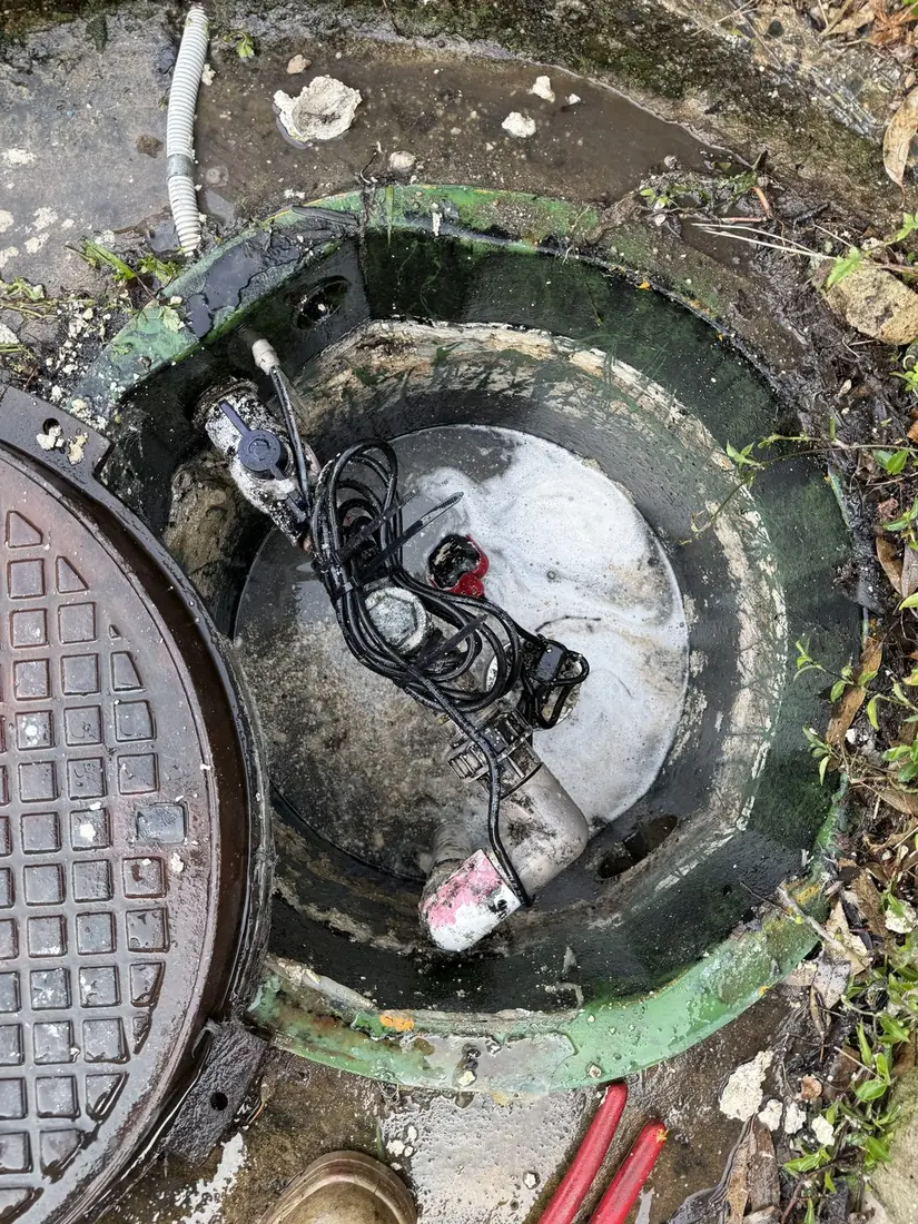 Pump pit pumped down and float freed after fat buildup removed and system tested